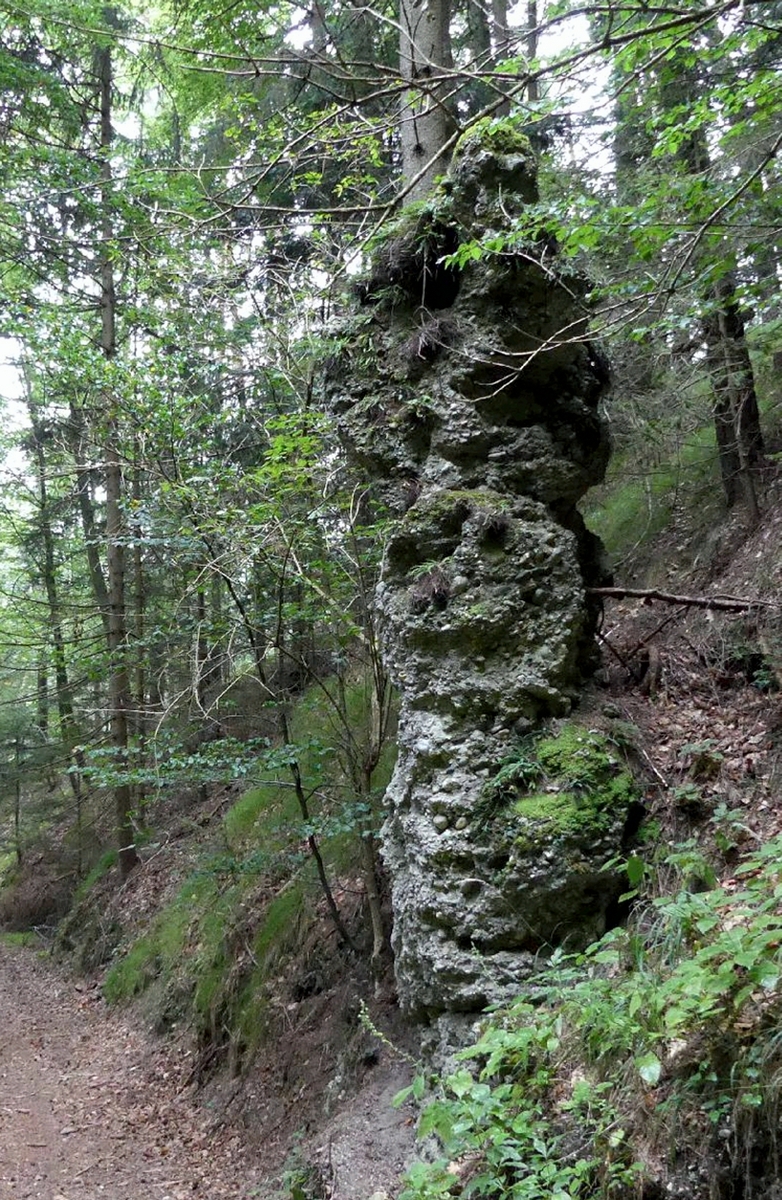 Nagelfluhs&auml;ule