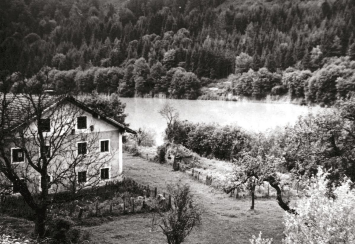 Au im Wald - Engelhart