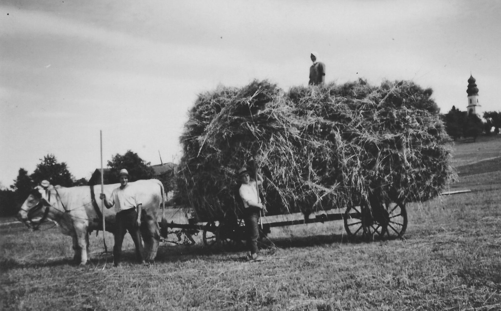 Bauernarbeit 1936